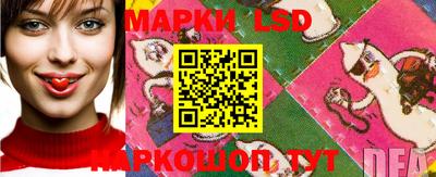 скорость Краснознаменск