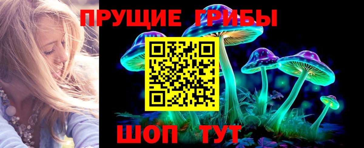 Псилоцибиновые грибы ЛСД  закладка  Красноярск  Вход с VPN 